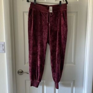 Lou & Grey velvet jogger pants